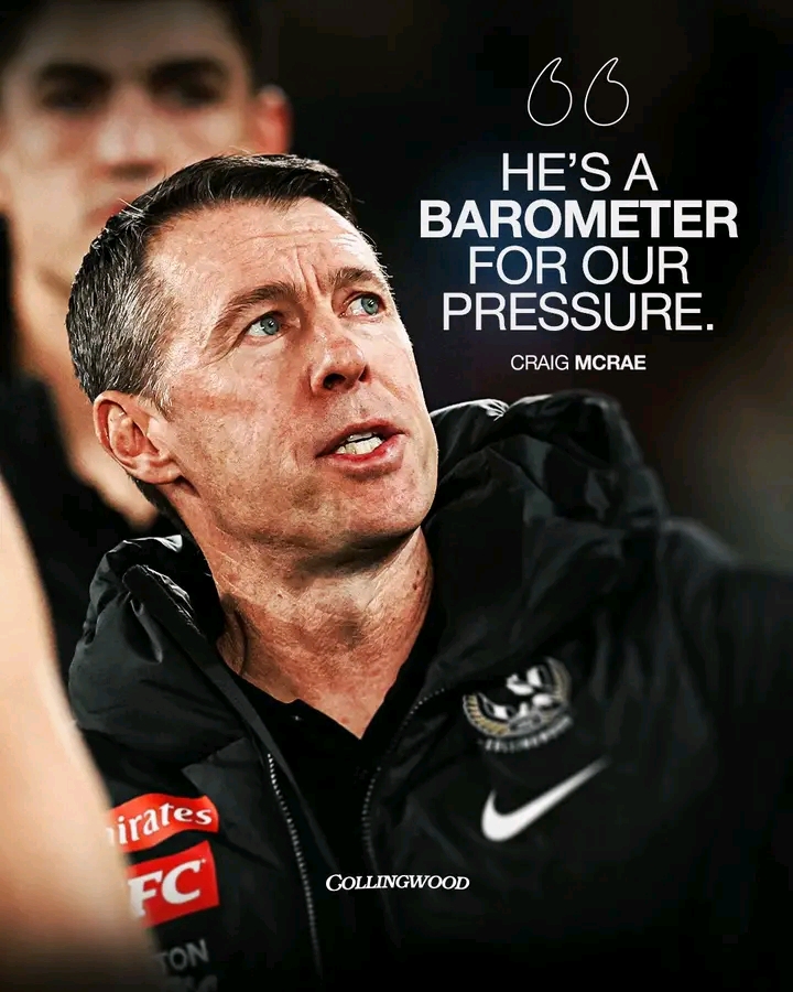 Collingwood Football Club Issues Explosive Statement Following Sudden Dismissal of Senior Board Member — “Governance Integrity Comes First,” Club Declares Amid Internal Rift…